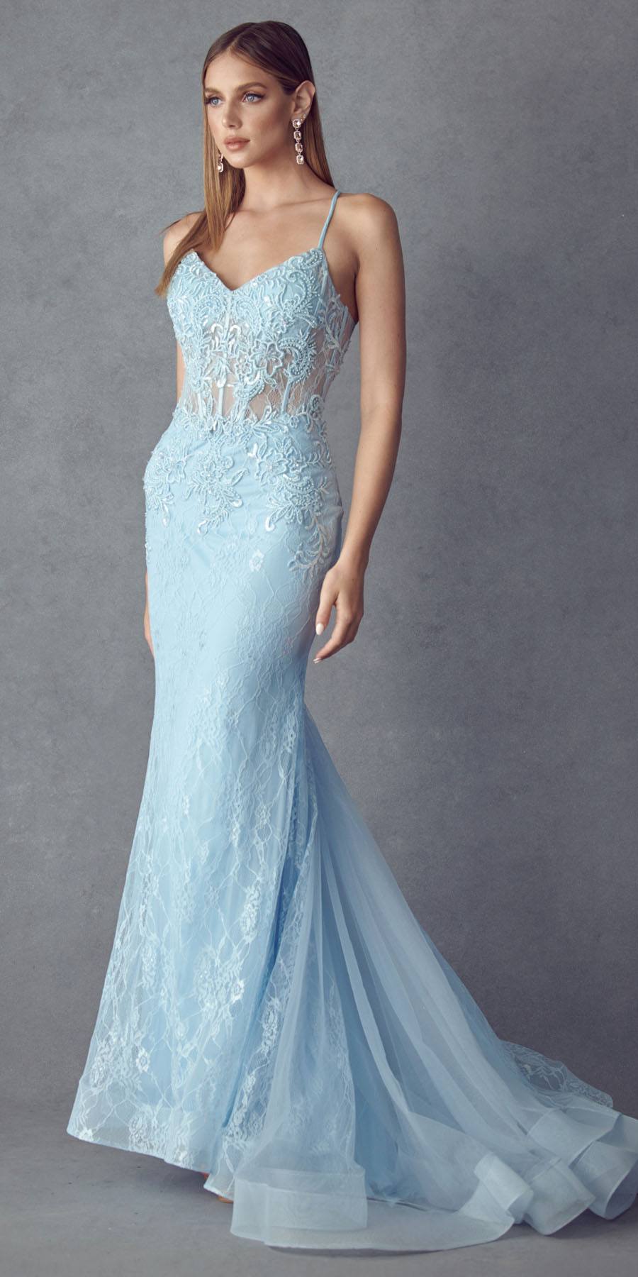 Baby blue embellished lace mermaid dress with fitted bodice and flared hem